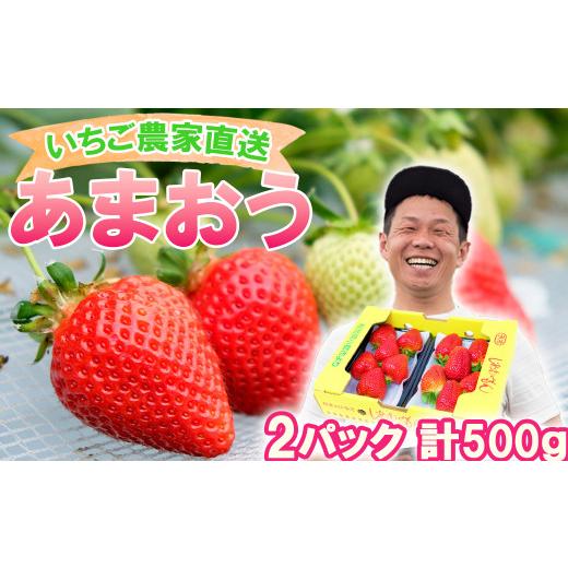 ふるさと納税 福岡県 小郡市 いちご職人 白木のいちご「しあわせもん」 あまおう2パック