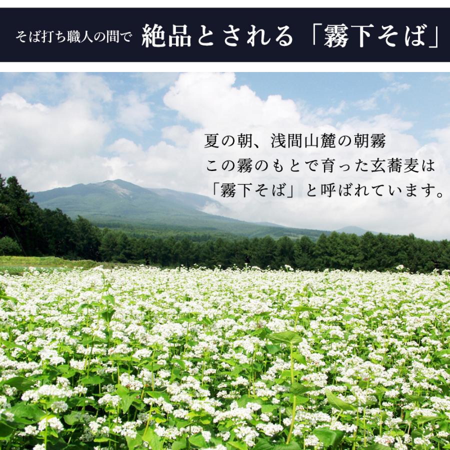 信州そば Bセット 約１２人前 和紙ギフト包装 [2023年産そば]信州産そば使用 そば 新そば 送料込 国内産 蕎麦 贈答ギフト 敬老の日 プレゼント 70代 80代