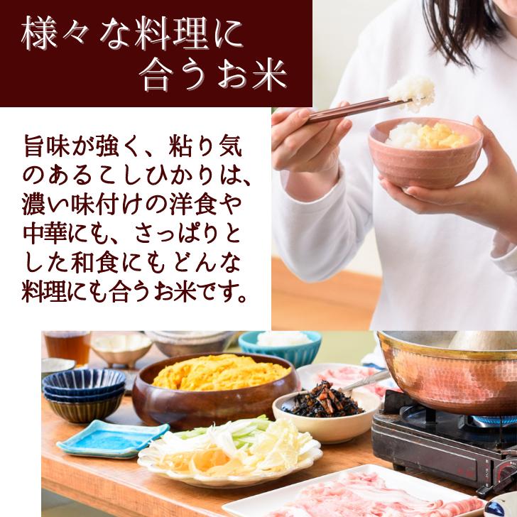 新米 5年産 米 新潟 産 コシヒカリ 10kg 新潟 こしひかり 受注してから精米します 白米 精米 甘い 減農薬 農家 直送 新潟県産 ギフト 米 内祝い プレゼント