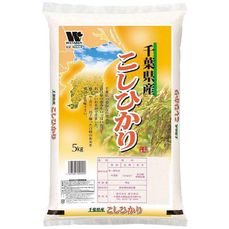 精米 千葉県産 白米 コシヒカリ 10? (5kg×2) 令和4年産