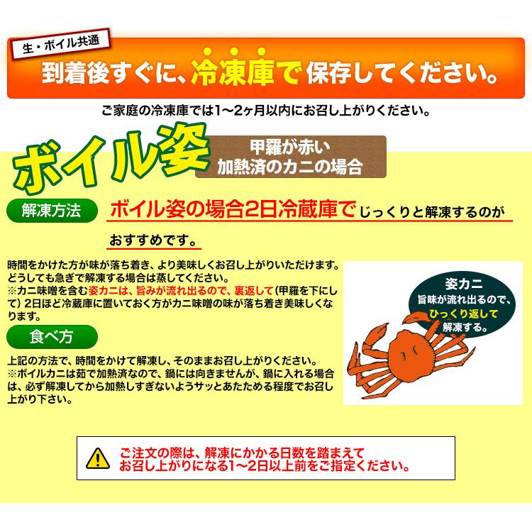 かに カニ 蟹 ズワイガニ 浜茹で松葉 松葉ガニ クーポンで8,300円！浜茹で松葉ガニ 1杯 600g超 (ブランドタグ付き)