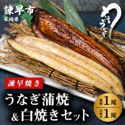 ふるさと納税 諫早市  うなぎ蒲焼白焼きセット