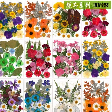 【顏芯系列】 大花包組合 真花壓花 永生花 森林系 少女寫真 壁畫 DIY水晶滴膠 乾燥花 植物標本