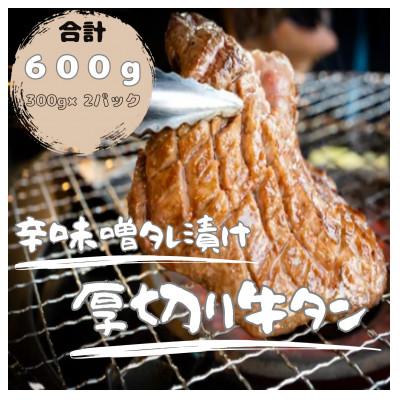 ふるさと納税 春日市 辛味噌タレ漬け厚切り牛タン　600g