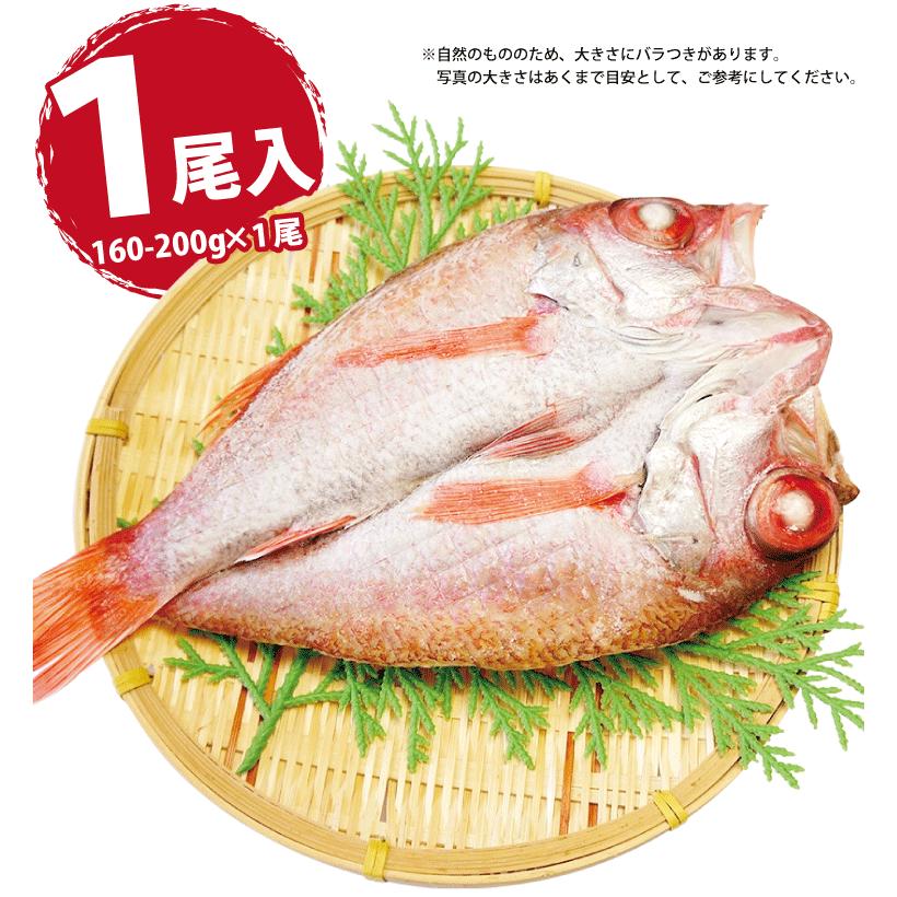 のどぐろ 魚 干物  160-200g×1枚 ノドグロ 干物セット 無添加 一夜干し魚 ((冷凍)) プレゼント ギフト