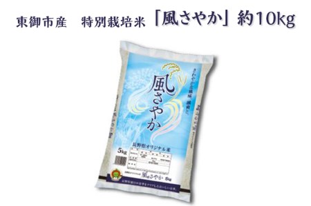 東御市産の特別栽培米「風さやか」約10㎏（R5年度産新米）｜国産 長野県産 お米 こめ 白米 ※11月下旬～2月下旬頃に順次発送予定