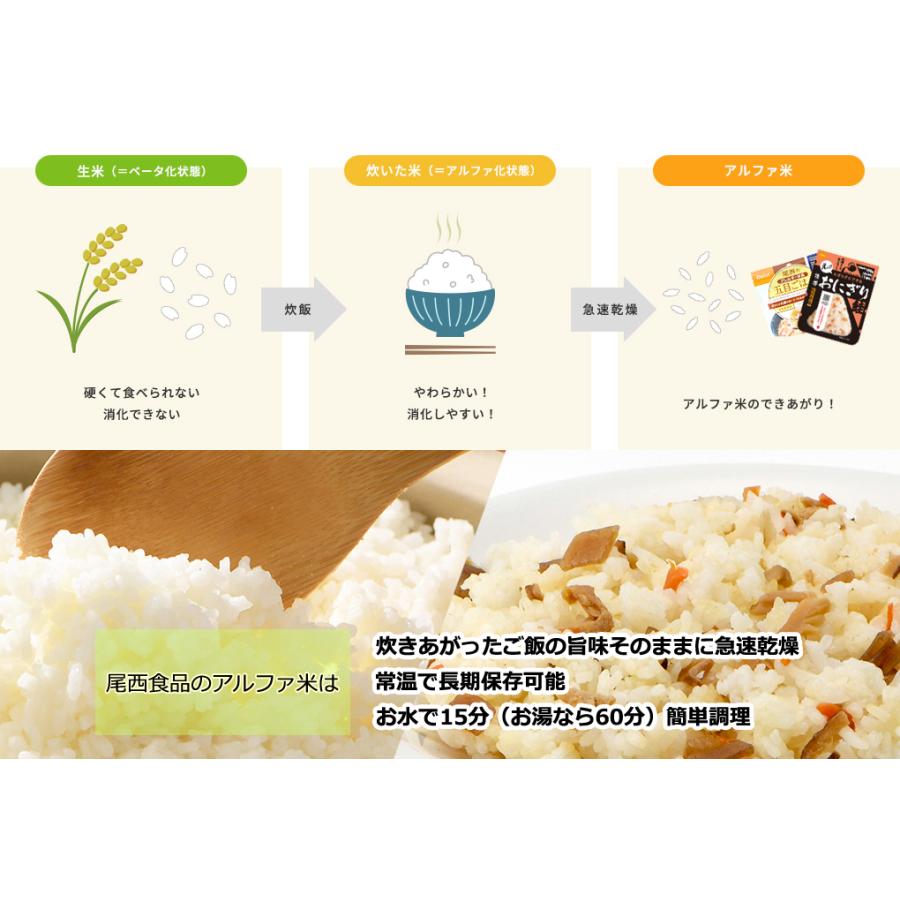 非常食 アルファ米 山菜おこわ 尾西食品 100g 長期保存食 災害 防災 備蓄 特定原材料等不使用 ご飯 単品