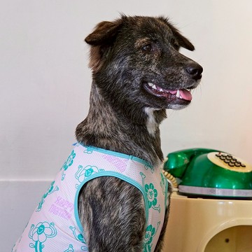 COOL5系列_時毛抗UV涼感衣_歡樂在一起(奶油)_(S-6L,FB)/有效涼感