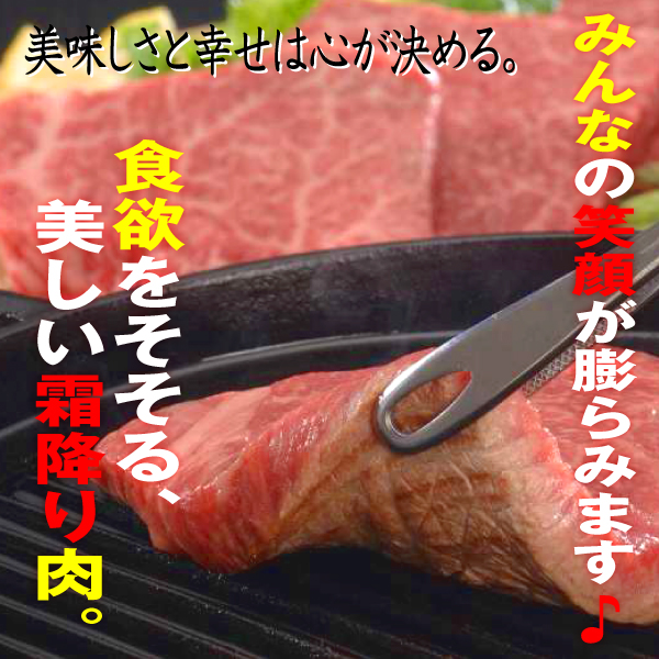 肉 牛肉 牛モモ 但馬牛 ギフト 300g バーベキューセット