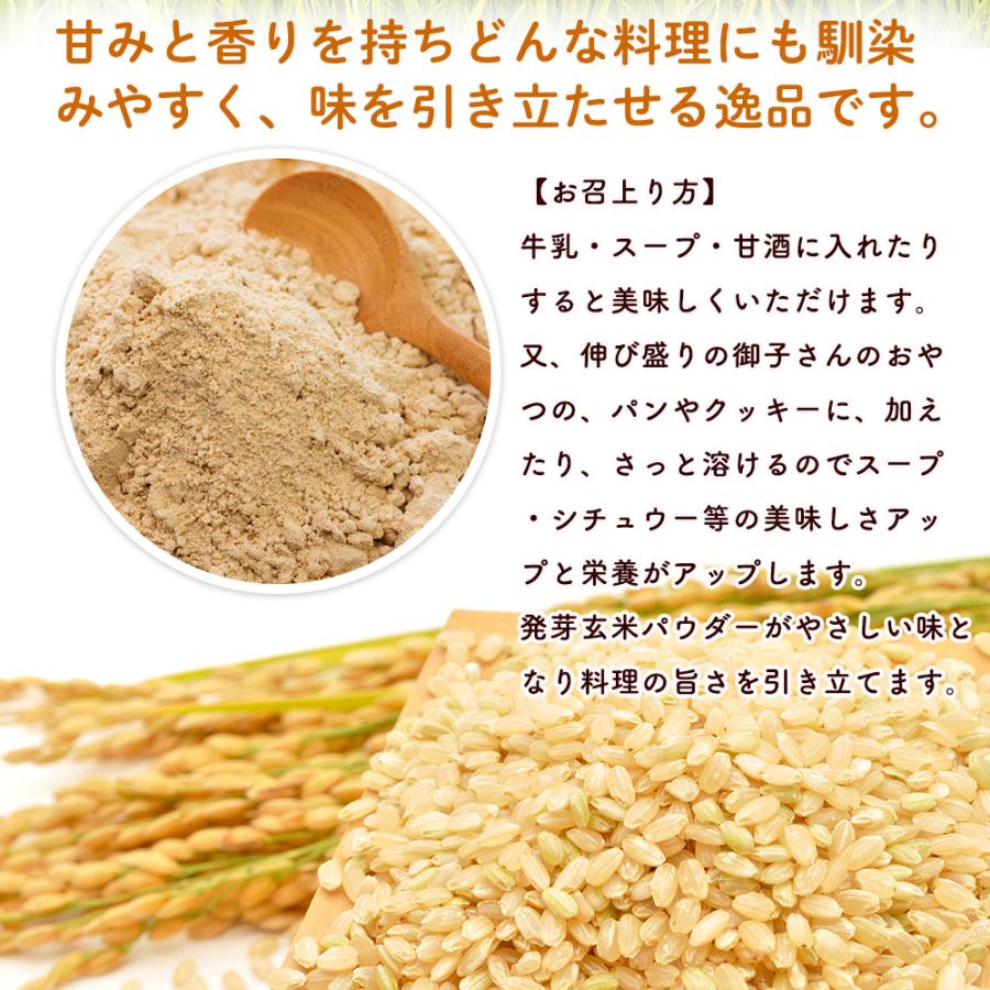 発芽玄米パウダー 100g入 無農薬・無肥料栽培米使用 本当にやさしい食べる発芽玄米粉 ネコポス便送料無料