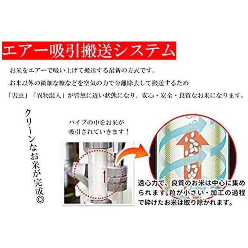 新米 新潟県産コシヒカリ (10?)精米 令和4年産 新米 新潟県産コシヒカリ (10?)精米 令和4年産