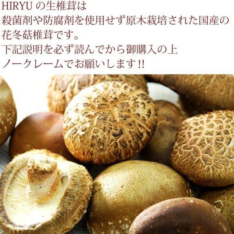 原木生シイタケ 100g 国産 無農薬・無化学肥料 椎茸