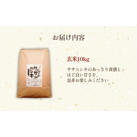 ふるさと納税 宮城県 石巻市 令和5年産 特別栽培米 ササニシキ 玄米 10kg