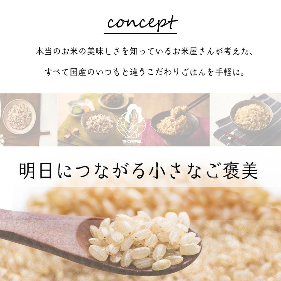 パックご飯 ご飯パック レトルトご飯 雑穀米 玄米 もち麦 4種24個 160g ごはん ご飯 玄米 パック 玄米パックご飯 安い レトルト 発芽玄米 非常食 レンチンご飯