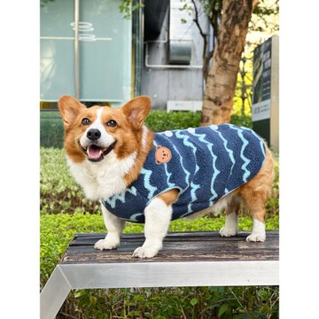 狗狗衣服2022新款秋冬款幼犬中小型犬柴犬比熊冬裝柯基保暖冬天衣