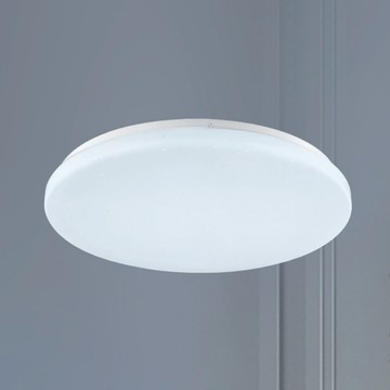 32W單色溫吸頂燈 B250-53-12-3015