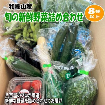 ふるさと納税 印南町 旬の新鮮野菜セット 8種以上