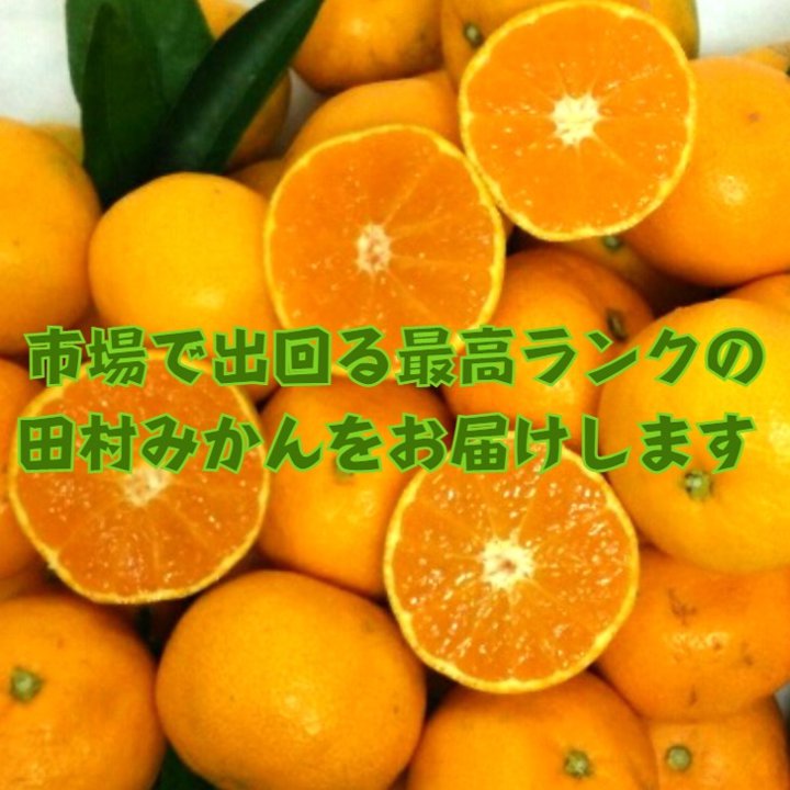 みかん 田村みかん 10Kg 秀品赤 M 送料無料 有田みかん おいしい 和歌山 お歳暮 ギフト 最高ランク 新年1月10日から14日の発送になります。