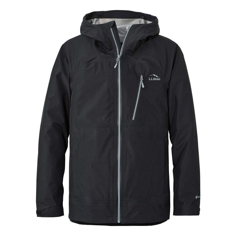 SALE／10%OFF L.L.Bean GORE-TEX ダウンパーカ レギュラーLサイズ ai