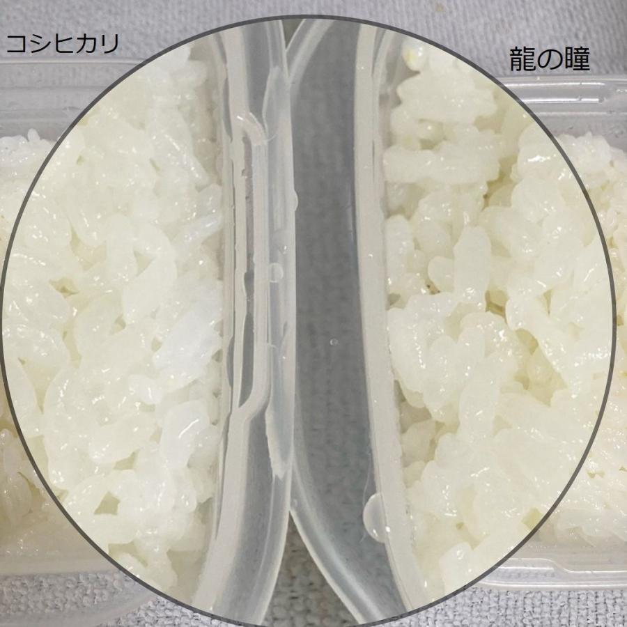 米 5kg ギフト  龍の瞳 お歳暮  お中元 鉄腕ダッシュ お米 いのちの壱 岐阜県産 令和5年産 贈答米