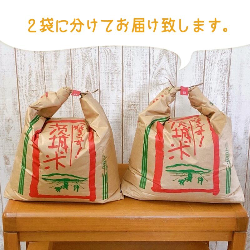 ミルキークイーン 玄米30ｋｇ 令和５年産 送料無料　茨城県産 冷めても美味しい お弁当 おにぎり お米 米 おいしい 玄米 白米　もちもち