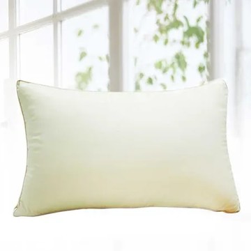 【多利寶寢具】FITNESS 日本進口纖維 吸溼快乾枕頭(1顆)