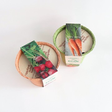 【環保推薦】ECOT 環保可分解植栽組-蔬菜類 / M