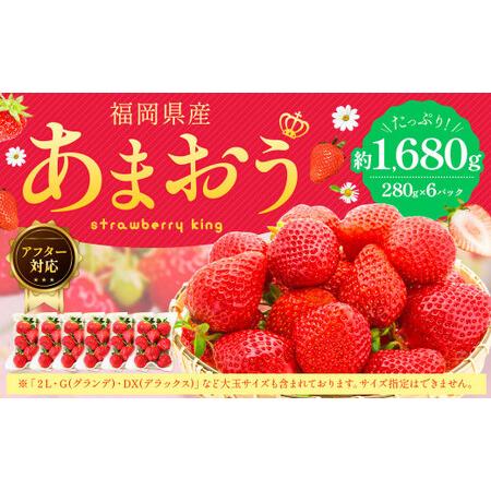 ふるさと納税 あまおう 約280g×6パック 苺 イチゴ いちご 果物 フルーツ 福岡県遠賀町