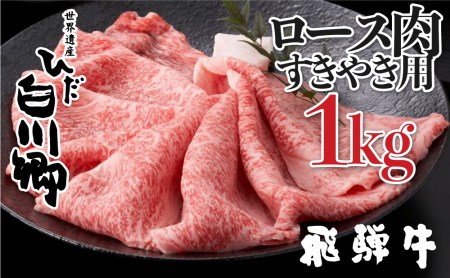 飛騨牛 すき焼き しゃぶしゃぶ 用 ロース 肉 1kg （500g ×2）肉 しゃぶしゃぶ 霜降り 飛騨 鍋 家族 友人と 牛肉 国産 岐阜県 黒毛和牛 和牛 A4 贅沢 祝 プレゼント 冷凍 人気 おすすめ ランキング お歳暮 敬老の日 ギフト JA ひだ 55000円 [S117]