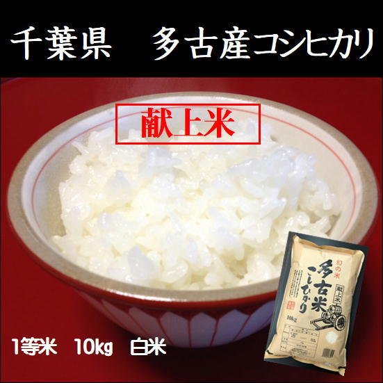 令和5年産 千葉県多古産こしひかり　10kg