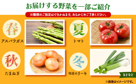 旬の新鮮野菜とお米詰め合わせセット 野菜5～10品目入 青空市きらり《30日以内に順次出荷》岡山県 矢掛町 野菜 野菜詰め合わせ 米 米3kg トマト きゅうり アスパラガス 玉ねぎ リーキ 送料無料