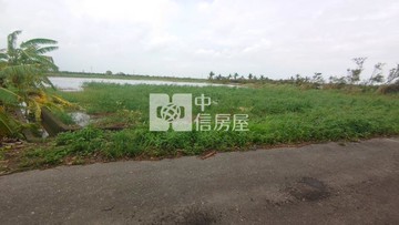 七股樹林國小雙面臨路美農地｜台南市七股區義合