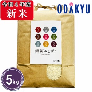 お米 5kg 令和４年産 岩手県産 銀河のしずく　米 送料無料　※沖縄・離島届不可