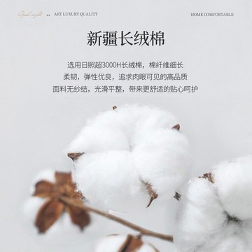 南極人全棉枕套一對裝高端純棉48cmx74cm枕頭套單雙人枕芯內膽套