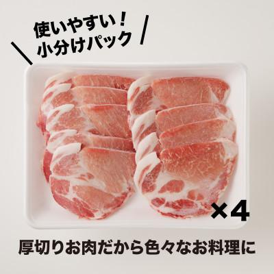 ふるさと納税 木城町 宮崎県産 豚肩ロース2kg(500g×4P)ガツンとBBQ