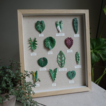 12葉觀葉植物皮革相框