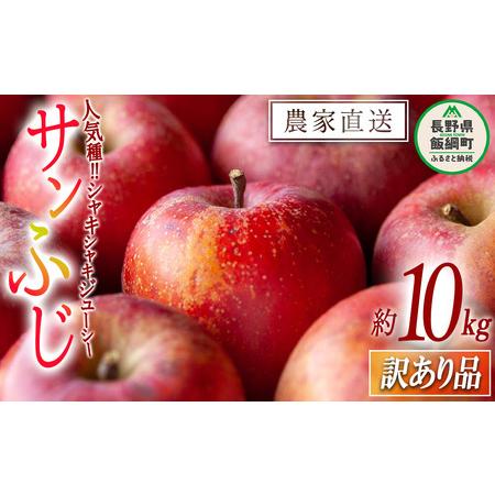 ふるさと納税 りんご サンふじ 訳あり 10kg 松橋りんご園 沖縄県への配送不可 2023年12月中旬頃から2024年3月上旬頃まで順次発送予定 令和5年度.. 長野県飯綱町