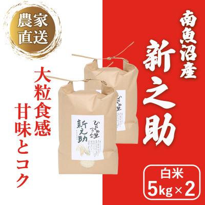 ふるさと納税 南魚沼市 きらめく大粒!ひらくの里ファームの南魚沼産新之助　白米5kg×2