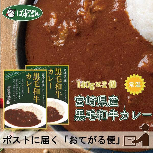 送料無料 宮崎県産黒毛和牛カレー 160g×2個 お手軽便