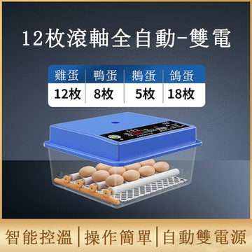 24H現貨 12枚滾軸孵化器 農場專用孵化機 智能自動控溫孵蛋機 孵化箱 小雞孵化機 鵪鶉孵蛋機 孵蛋器 規格12枚