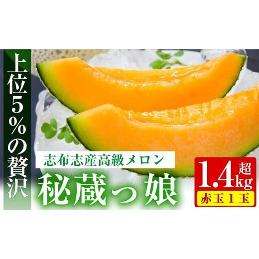 ふるさと納税 鹿児島県 志布志市 a5-113 極上メロン「秘蔵っ娘」赤玉(赤肉)1個