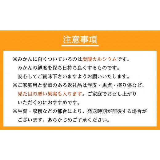 ふるさと納税 和歌山県 海南市 蔵出しみかん　家庭用（SS〜LLサイズ）混合10kg