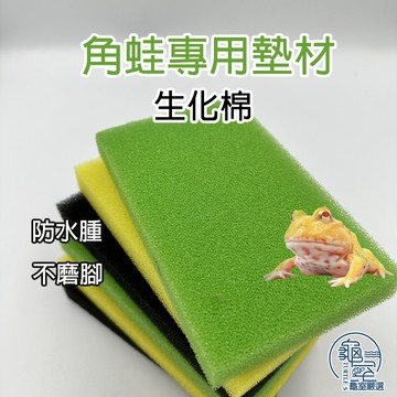 PJ小舖 角蛙生化棉 角蛙海綿墊 角蛙墊材 角蛙棉 角蛙墊材過濾海綿 龜室
