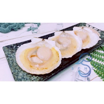 友鮮食｜4粒裝◇5粒裝◇8-10粒裝◇13粒裝◇半殼扇貝◇每包500公克◇露營◇烤肉◇清蒸◇焗烤