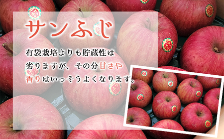 訳あり 家庭用 ちとせ村 サンふじ 約5kg