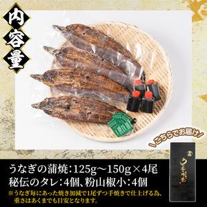 ふるさと納税 946-2 昭和56年創業 うなぎの川豊 有頭 蒲焼き 4尾 セット 鹿児島県鹿屋市