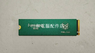 梵想 S500Q 512G PCIE3.0 M.2 2280 固態硬碟 健康度99% 成色如圖 二手【三和電腦配件店】