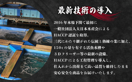 ふぐ 鍋 セット 4~5人前 冷凍 ふぐちり 切身 まふぐ 真ふぐ ポン酢 昆布 もみじおろし 付き 下関 山口 (ふぐ フグ 真ふぐ まふぐ マフグ 本場下関ふぐ ふぐ鍋 フグ鍋 天然ふぐ 天然マフグ 天然まふぐ 国産天然マフグ 関門ふぐ 関門フグ 最高級まふぐ 最高級マフグ 国産天然まふぐ ID008