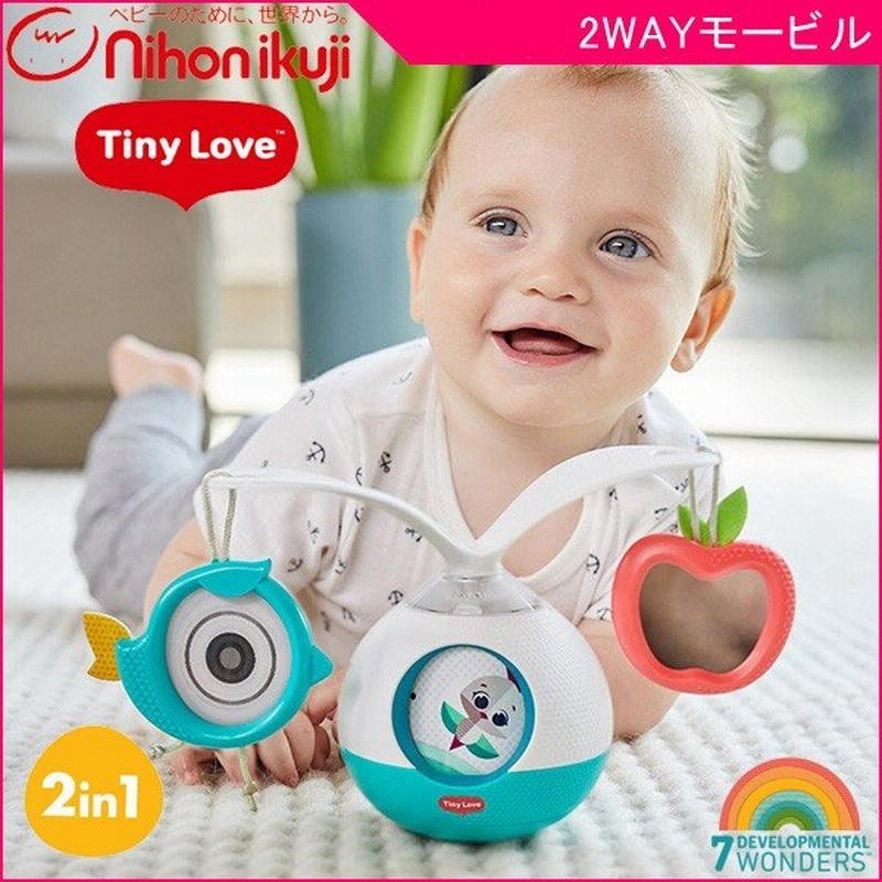 廃棄する 私たちのもの 申し込む 新生児 モービル 再集計 役職 地平線