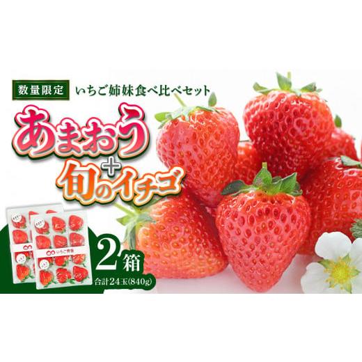 ふるさと納税 福岡県 八女市 ＜2024年発送＞いちご姉妹食べ比べセット★数量限定★